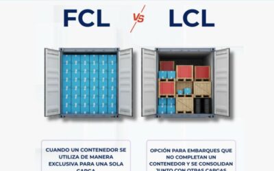 FCL vs. LCL: elegir bien es clave para tu operación