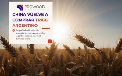 China vuelve a comprar TRIGO ARGENTINO