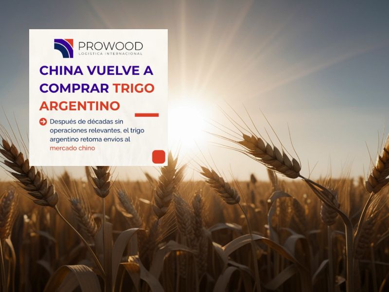 China vuelve a comprar TRIGO ARGENTINO