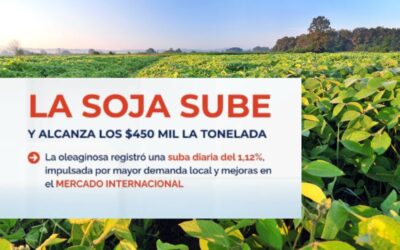 LA SOJA SUBE!