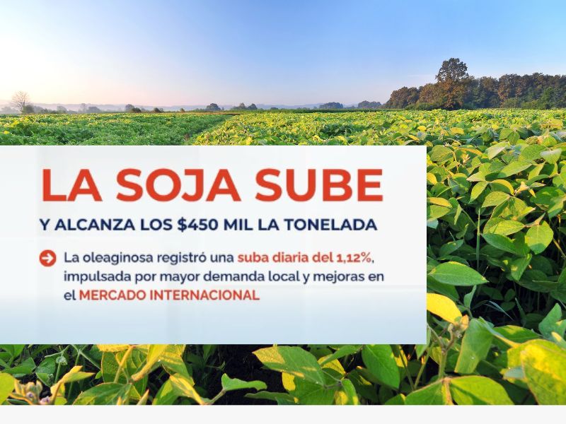 LA SOJA SUBE!