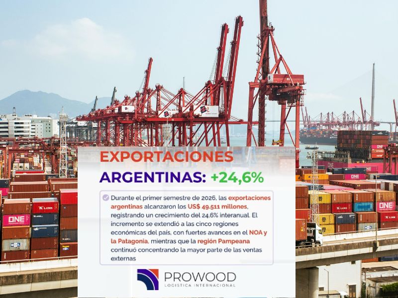 EXPORTACIONES ARGENTINAS: + 24,6%